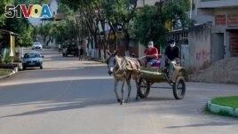 A couple rides on a horse carriage, in Alpercata, Minas Gerais state, Brazil, November 4, 2021. Picture taken November 4, 2021. (REUTERS/Washington Alves)