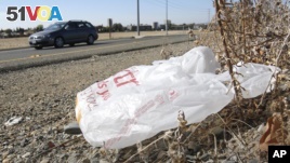Plastic Bags: To Ban or Not to Ban? 