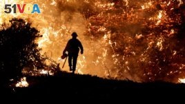 In this file photo, a firefighter works as the Caldor Fire burns in Grizzly Flats, California, U.S., August 22, 2021. (REUTERS/Fred Greaves/File Photo)