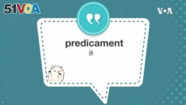 学个词--predicament