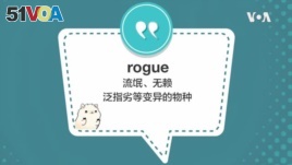 学个词 - rogue