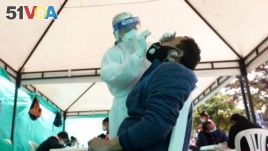 A health worker takes a nasal swab sample for a COVID-19 test, provided for free by the municipal government in Bogota, Colombia, Oct. 16, 2020.