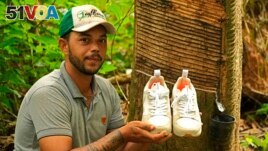 Rubber tapper Rogerio Mendes shows off his Veja sneakers, received as a prize for his work as a young rubber extractor in the Chico Mendes Extractive Reserve, Acre state, Brazil, Wednesday, Dec. 7, 2022. (AP Photo/Eraldo Peres)