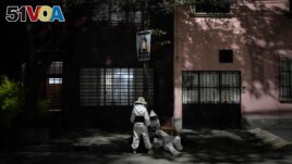 Adriana Veliz and members of her group Abeja Negra SOS, wearing bee suits to protect themselves from stings, rescue a beehive that made its nest inside a lamp post base in Mexico City, Thursday, June 8, 2023. (AP Photo/Eduardo Verdugo)