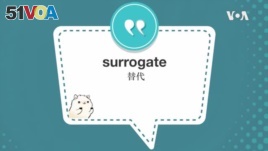 学个词 ---surrogate