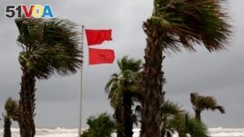 FILE - A red warning flag flies as palm trees sway in the wind as Hurricane Sally approaches in Gulf Shores, Alabama, U.S., September 15, 2020. (REUTERS/Jonathan Bachman)