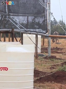 Fog Collector Transforms Maasai Water-Harvesting in Kenya