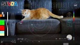 This image shows a frame from a 15-second ultra-high-definition video featuring a cat named Taters which was streamed via laser from deep space by NASA on December 11, 2023. (NASA via AP)