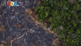 In this Nov. 23, 2019 photo, a burned area of the Amazon rainforest is seen in Prainha, Para state, Brazil. Official data show Amazon deforestation rose almost 30% in the 12 months through July, to its worst level in 11 years. 