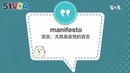 学个词 - manifesto