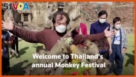 M<I>onkey</I> Festival Returns to Thai Town