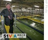 Bill Martin, president of Blue Ridge Aquaculture, stands near tanks filled with shrimp at a fish farm in Martinsville, Virginia. 