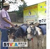 Yohannes Gebregiorgis and his donkeys park the mobile library 