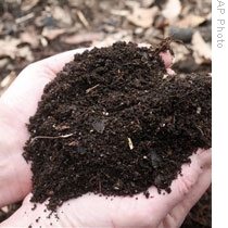 Do-It-Yourself: Compost for the Garden 