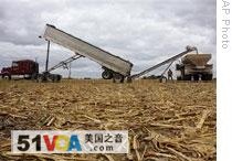 Farmers in Illinois move fertilizer to a field spreader on a newly harvested cornfield