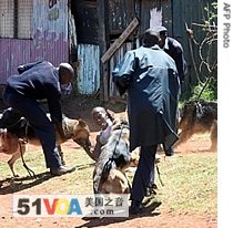 A man believed to be a protestor is brought down by police dogs near the town of Kikuyu after a group from the Kikuyu tribe blocked the road connecting Kenya's capital with the Rift Valley town of Naivasha, 30 Jan 2008 