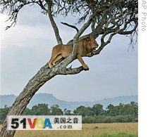 New Study Shows Animal Population Drop in Kenya Park