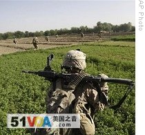 US Marines move in formation through farm fields after landing by helicopter in overnight air assault near Taliban stronghold of Nawa, Helmand province, 2 Jul 2009 