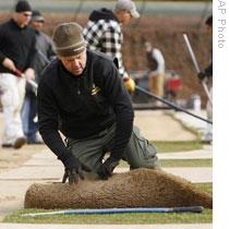 A worker lays sod in Wrigley Field in Chicago during improvements made in 2007 