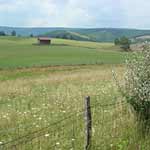 A farm near Dolly Sods in the Potomac Highlands of West Virginia