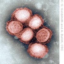 Australia, Vietnam, Japan Join Forces to Fight Swine Flu
