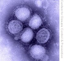 Swine Flu Death Toll in India Increases