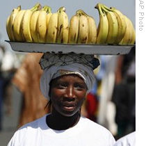Diseases Threaten African Banana Crops  