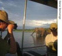 Safari explorers on the Chobe River