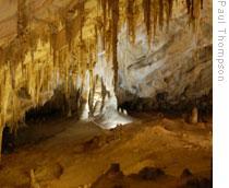  Another World, Underground: Carlsbad Caverns National Park in New Mexico  