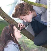 Bella and Edward face facts in 