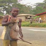 Boy holds can rat, or "grass cutter"