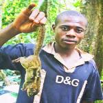 Boy holding bush meat (cane rat) in Bertoua in southeastern Cameroon