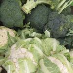 Broccoli and Cauliflower – Their Tops Make Good Eating