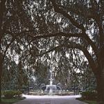 Forsyth Square is one of Savannah's many promenading grounds. Most of them date to the American Revolution of the 1700s.