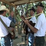 Bluegrass Jam Sessions Popular Across United States