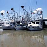 Idled shrimp boats sit in port at Venice, Louisiana (File)