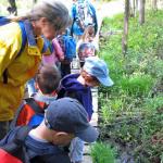 Teacher Laura Peterson and her students examine a stream during Hike Day. 