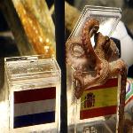 Psychic Octopus Predicts Spain World Cup Win