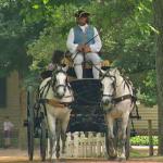 Horses and carriage in Colonial Williamsburg