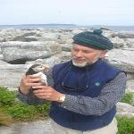 It took eight years from the time Stephen Kress moved the first first puffin chicks to Eastern Egg Rock until the first nesting pair appeared  in 1981.