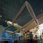 Voyager: The First Airplane to Fly Around the World Non-Stop 