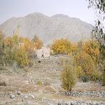 After War, Afghan Plain Begins to Flourish