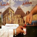 Egypt Rejects International Election Observers, Domestic Monitors Frustrated