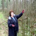 Carol Wick contemplates the possibilities for her woodlot near Enumclaw, Washington. 