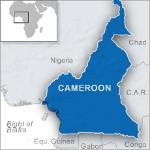 Cameroon's Government Courts Diaspora Investment