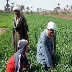 Rural Egyptians Welcome Change, Economic Worries Linger