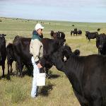 Great Plains Ranching Faces Uncertain Future