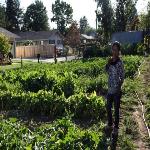 Farming Helps Refugees Put Down Roots 
