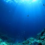 Ocean Floor Reveals Past Climate Changes