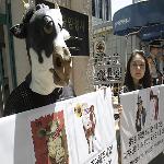 S. Korean Activists Resume Protests Against US Beef